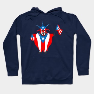 Puerto Rico Flag Vejigante Boricua Festival Party Sanse Hoodie